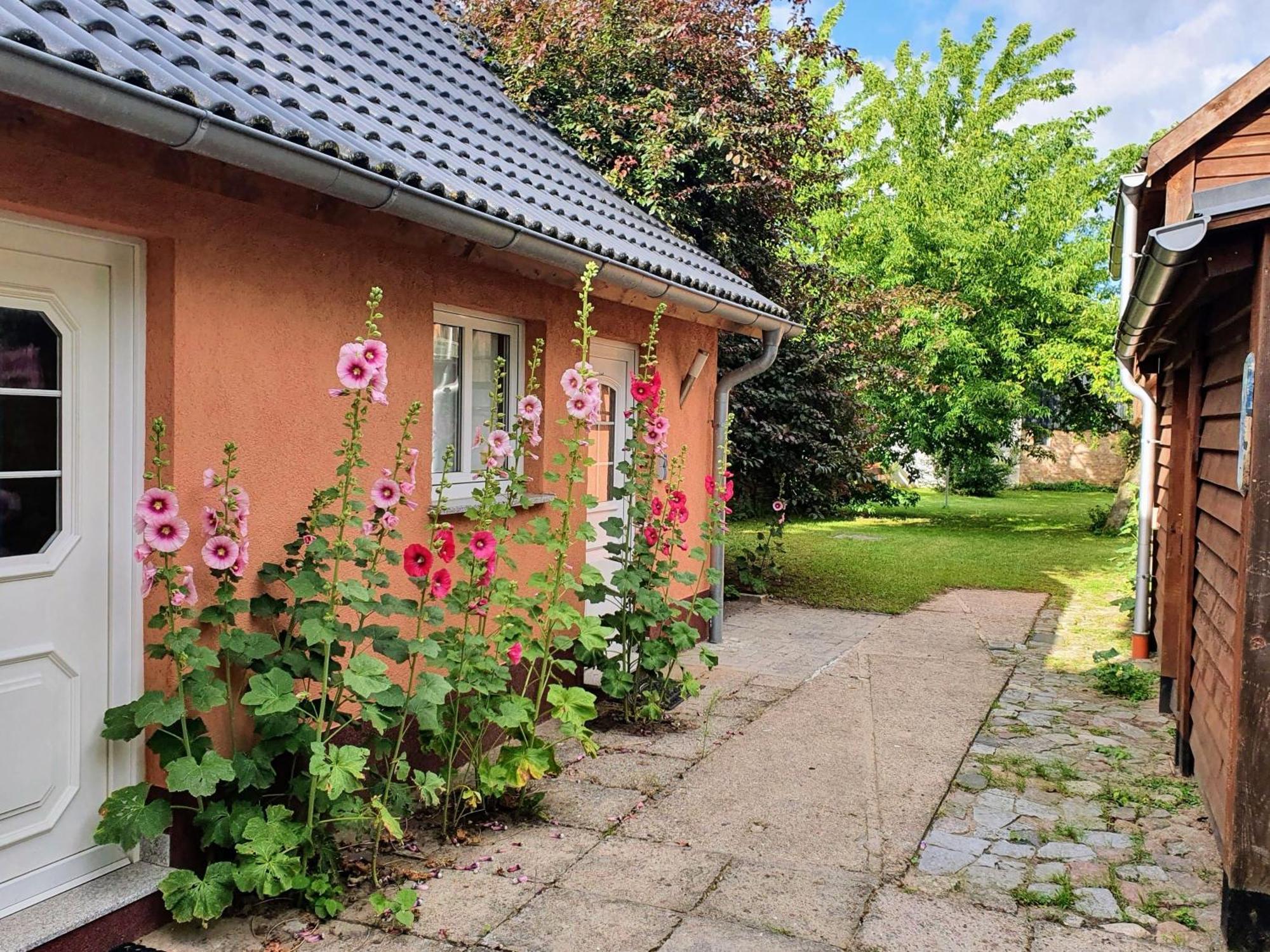 Ferienhaus Moewe Hanshagen  ภายนอก รูปภาพ